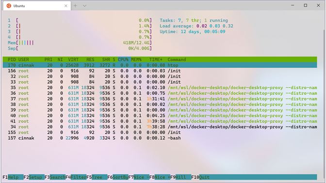 Windows Terminal